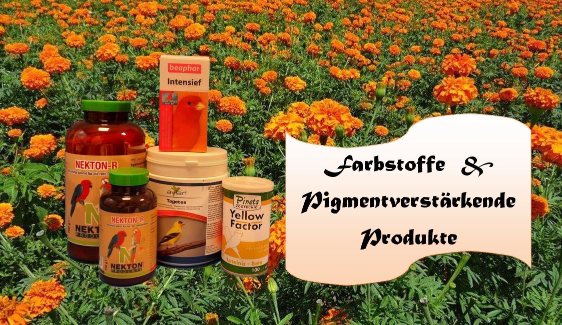 Farbstoffe & Pigmentverstärkende Produkte
