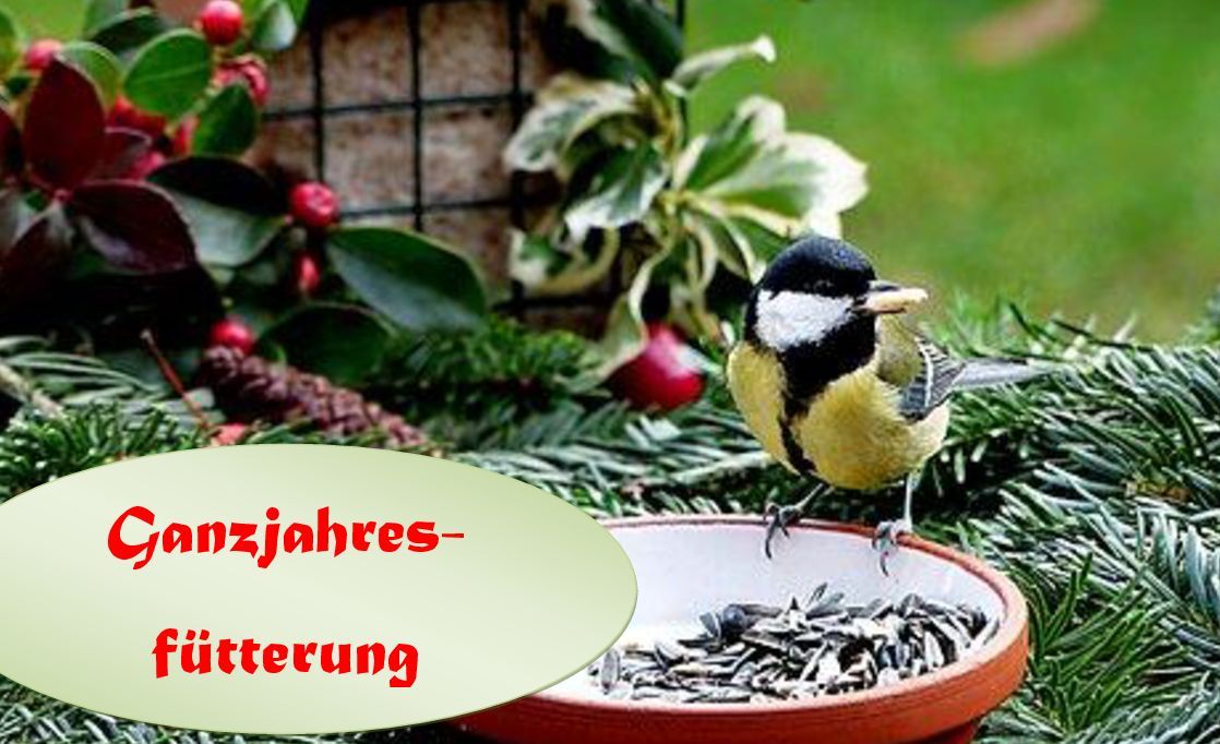 Winterfütterung - Frühlings- und Ganzjahresfütterung 2026
