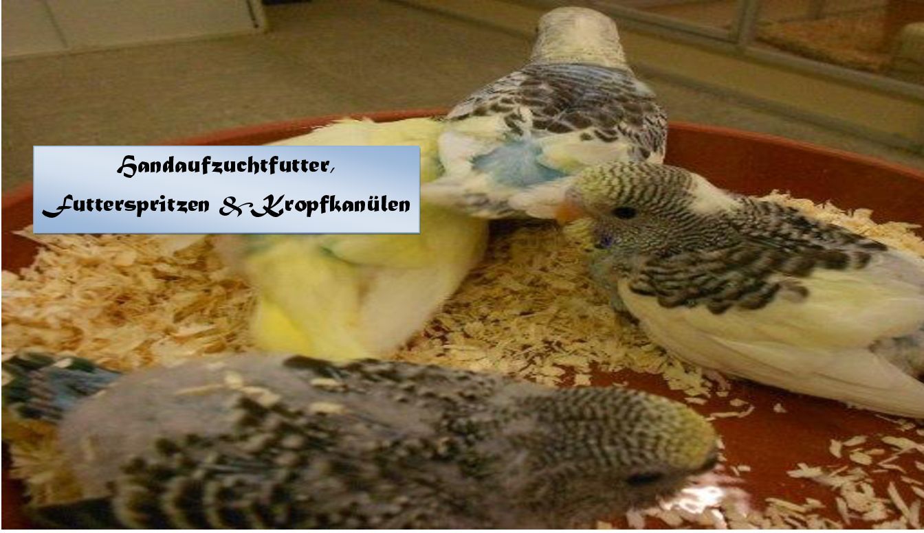 Handaufzuchtfutter & Kropfkanülen