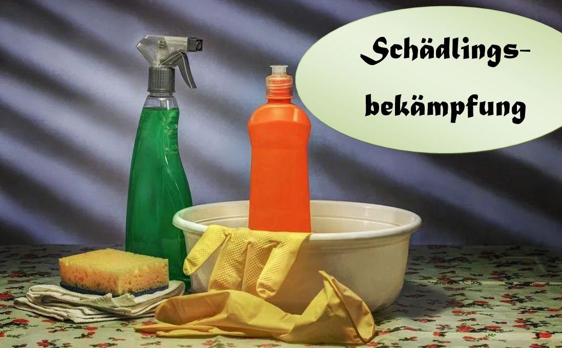 Schädlingsbekämpfung