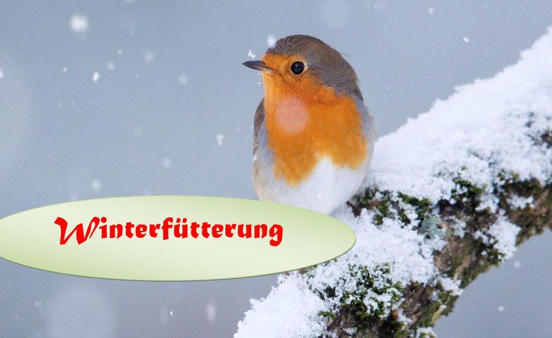 Winterfütterung - Frühlings- und Ganzjahresfütterung 2025