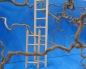 Preview: Holzleiter  8 Sprossen   36 cm