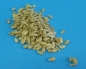 Preview: Sonnenblumenkerne geschält 3000 gr. im Frische-Eimer  NEU!!!
