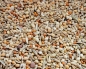 Preview: African Astrilden  Deluxe -  small  4000  gr.