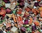 Preview: Agaporniden & Sperlingspapageien Auslese 1000 gr.