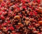 Preview: Animal - Red  / rot   Ei & Aufzuchtfutter   500 gr.