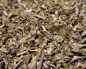 Preview: Bird Herbs Kräuter Mix Classic Nature  2500 ml