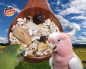 Preview: Papageien Deluxe  Nuss & Früchte     4000 gr.