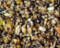 Preview: Stieglitz Keimfutter All in One  2025  4000 gr.