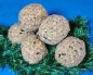 Preview: Gourmet - Balls  mit Insekten  6 er
