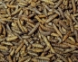 Preview: Soldatenfliegenlarven  getrocknet  Eimer 1000 ml