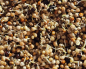 Preview: Sittich Keimfutter Hirse Classic - Mix  1000 gr.