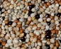 Preview: Wellensittich Power Hirse - Mix 4000 gr.