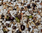 Preview: Kakadu-Papageien Senior  &  Light Mix   4000 gr.
