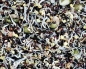 Preview: Kanarien Keimfutter Vielfalt 4000 gr.