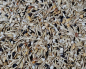 Preview: Kapuzenzeisig  Premium 2025 4000 gr.