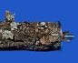 Preview: Korkeichen Sitzast small - Idefix S Länge ca. 30 cm