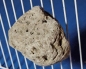 Preview: Java - Lava - Stein  Fuß & Krallenpflege Maße ca. 8 x 8 cm
