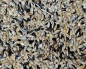Preview: Mosaik Profess. Kanarienfutter  1000 gr.