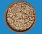 Preview: Papageiamadinen Select Premium  1000 gr.