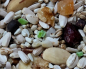 Preview: Papageien Deluxe  Nuss & Früchte     10.000 gr.