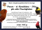 Preview: Power - Kondition    für Prachtfinken  4000 gr.