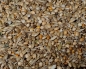 Preview: New - Generation Zucht & Aufbau     10.000 gr.