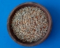 Preview: Prachtfinken fein Keimfutter Gras 1000 gr.