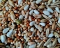 Preview: Prachtfinken Keimfutter grob  1000 gr.