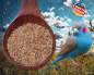 Preview: Prachtfinken fein Keimfutter Gras 10.000 gr.