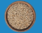 Preview: Prachtfinken Ruhephase   Select      4000 gr.
