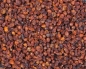 Preview: Sanddornbeeren   500 ml