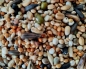 Preview: Sittich - Keimfutter Spezialitäten Mix 1000 gr.