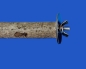 Preview: Sitz - Zweig    Naturholz - mini S    20 cm