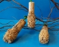 Preview: Millet sunflower stalks