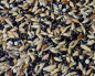 Preview: Kanarienfutter  Timbrado spanisch 10.000 gr.