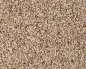 Preview: Wiesenlieschgras (Timothe - Gras) 1000 gr.