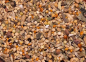 Preview: Wellensittich  Aroma  - Traum  10.000 gr.
