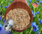 Preview: Budgie Nature Menu Mix   1000 gr.
