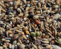 Preview: Waldvogel - Zucht Super - Premium 10.000 gr.