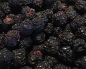 Preview: Aronia - Beeren  1000 ml