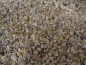 Preview: Animal Sommermix Eimer   3000 gr.