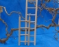 Preview: Holzleiter  5 Sprossen   24 cm