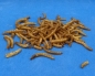 Preview: Mehlwürmer 1000 gr.