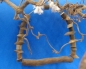 Preview: Bogenschaukel  Natur gross  22 x 29 cm