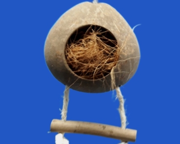 Kokosnest - Brücke für kleine Sittiche Länge ca. 90 cm
