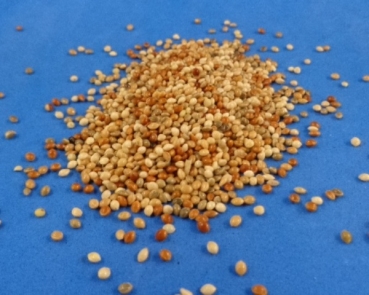 Hirse - Mix Classic Spezial   4000 gr.