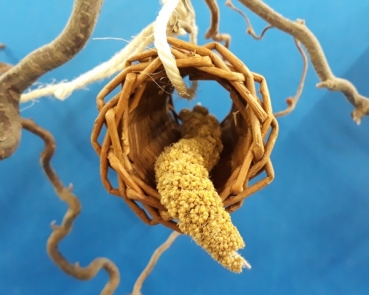 Preview: Weiden - Hirsetunnel     NEU !!!!