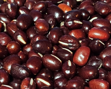 Adzukibohnen hochkeimfähig 1000 gr.