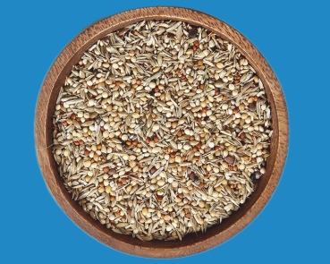 African Astrilden  Deluxe -  small  1000  gr.